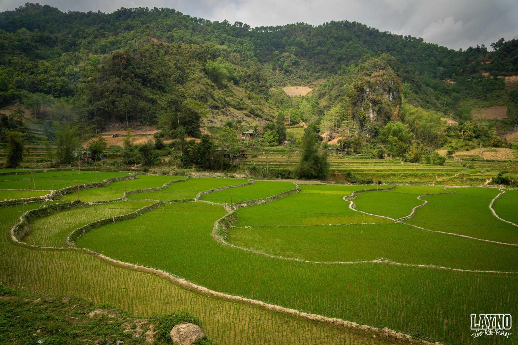 Quiri Hostel Ha Giang Lang Lap 外观 照片